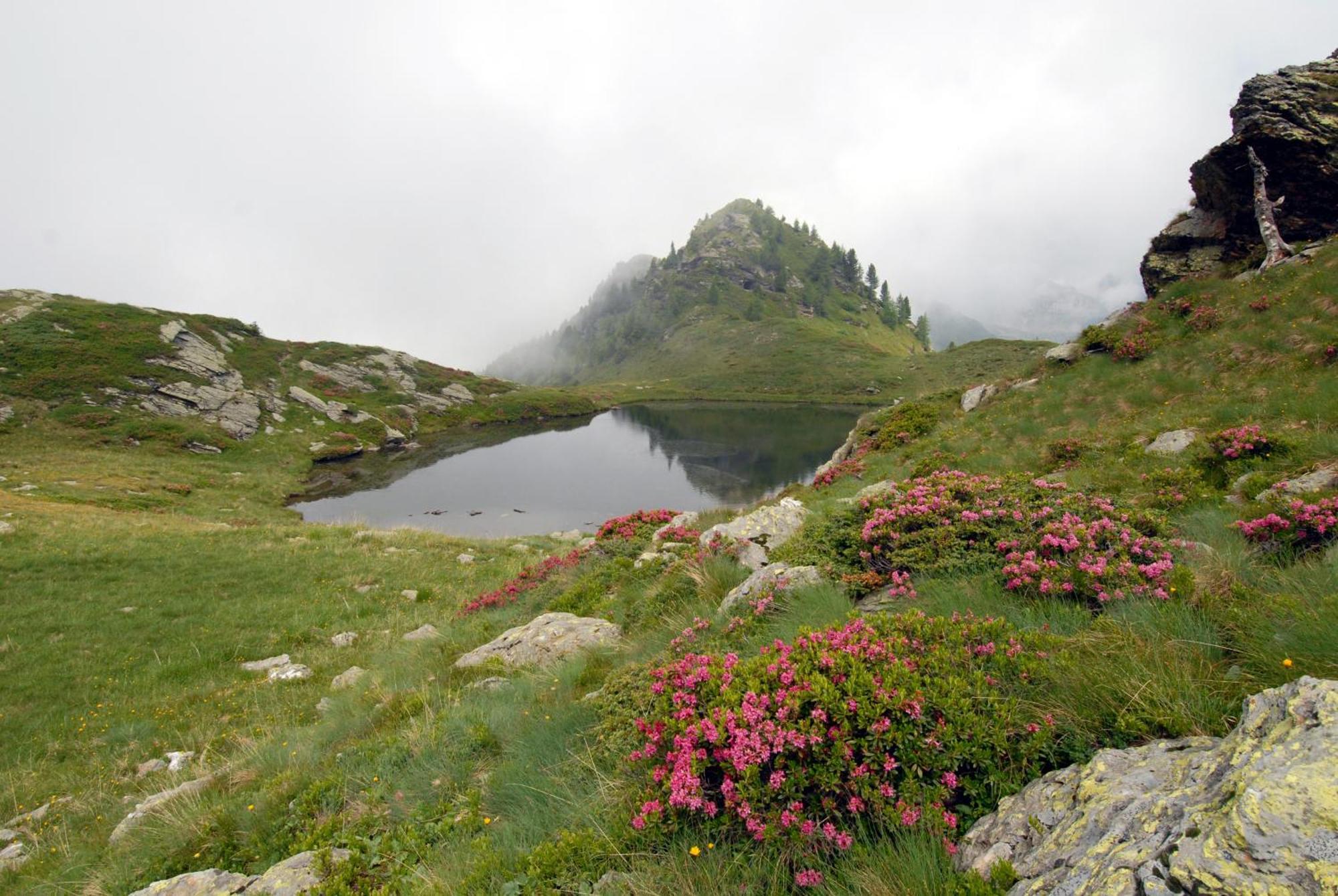 Chalet Nel Doch Villa Cheia Canal San Bovo Eksteriør bilde