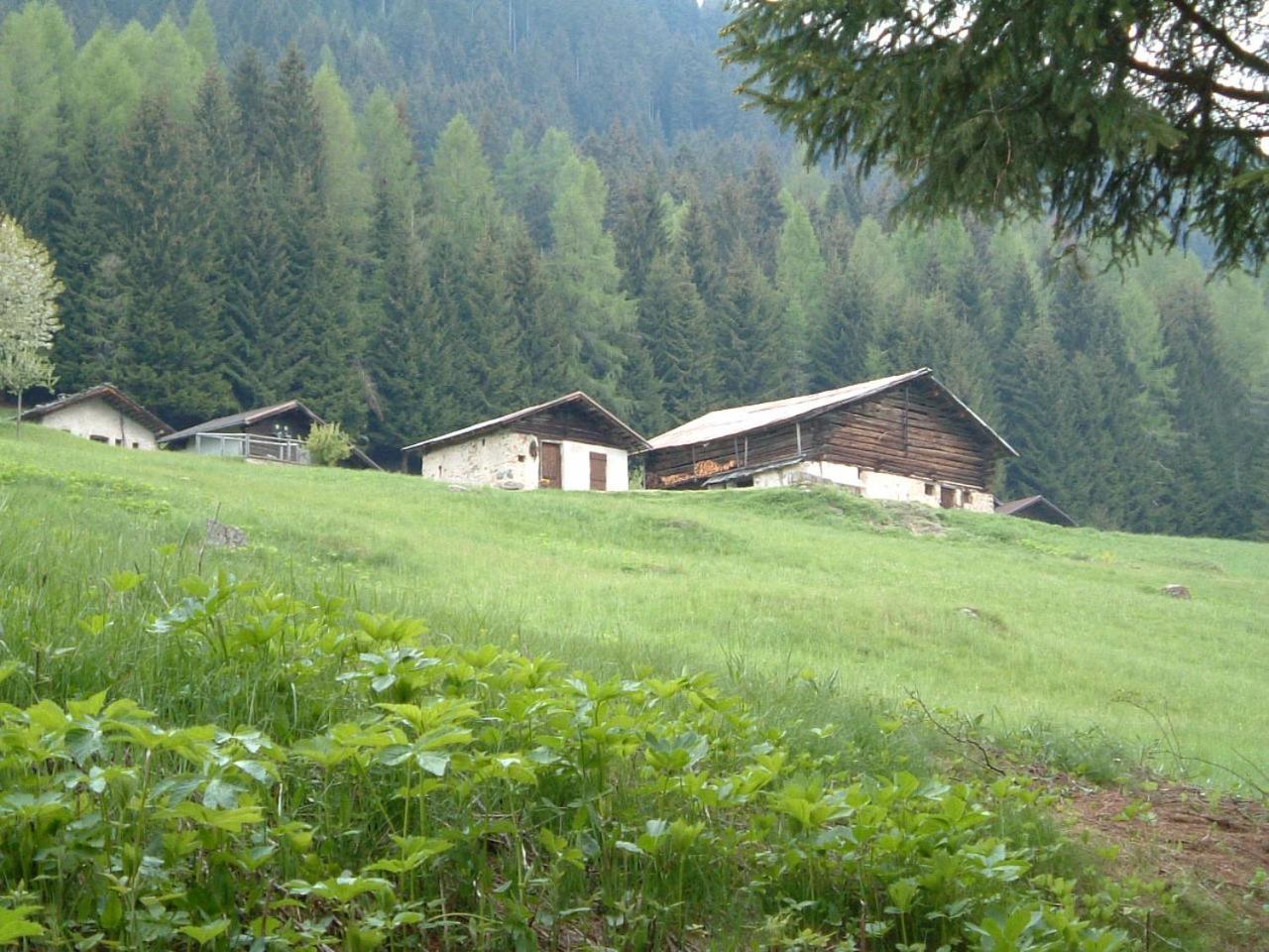 Chalet Nel Doch Villa Cheia Canal San Bovo Eksteriør bilde