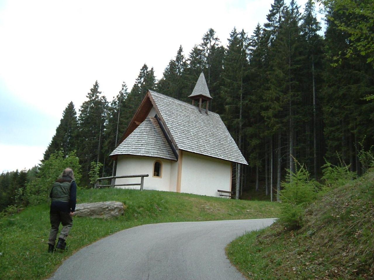 Chalet Nel Doch Villa Cheia Canal San Bovo Eksteriør bilde